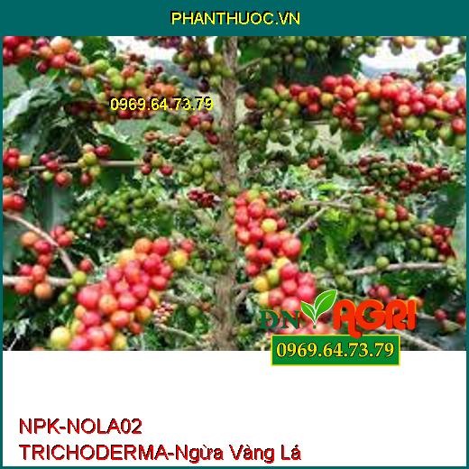 NPK- NOLA02 TRICHODERMA NÔNG LÂM - Ủ Vỏ Cà Phê, Phòng Vàng Lá, Thối Gốc