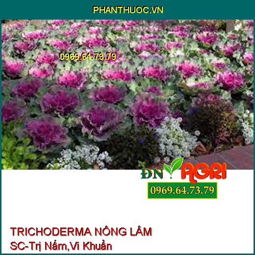 PHÂN VI SINH CAO CẤP TRICHODERMA NÔNG LÂM SC-Trị Nấm Và Vi Khuẩn