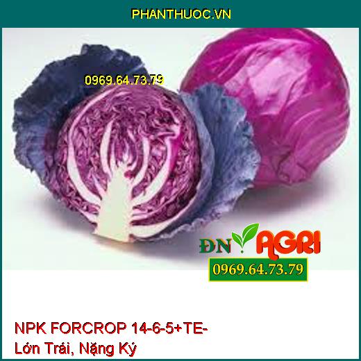 NPK FORCROP 14-6-5+TE - Thúc Ra Đọt, Lớn Trái, Nặng Ký