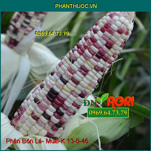 Phân Bón Lá Cao Cấp Multi-K 13-0-46 Được Nhập Khẩu Từ Tập Đoàn Haifa Israel