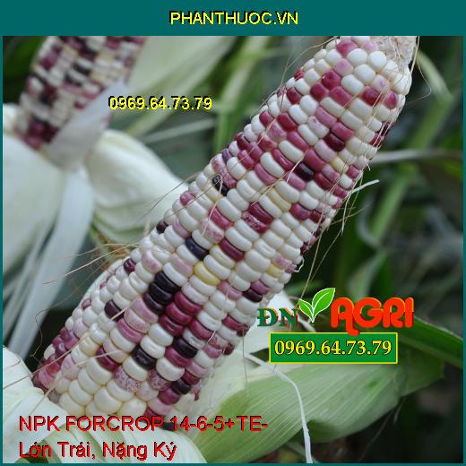 NPK FORCROP 14-6-5+TE - Thúc Ra Đọt, Lớn Trái, Nặng Ký