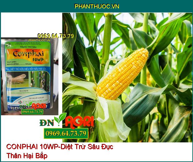 THUỐC TRỪ SÂU CONPHAI 10WP – Diệt Trừ Hữu Hiện Rầy Nâu Hại Lúa