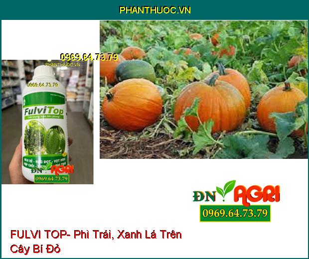 FULVI TOP- Ra Đọt, Vọt Hoa, Kích Rễ, Phì Trái, Xanh Lá Trên Cây Trồng