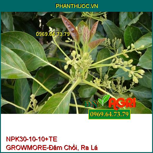 PHÂN BÓN LÁ NPK 30-10-10 +TE GROWMORE- Đẻ Nhánh, Đâm Chồi, Ra Lá Tốt