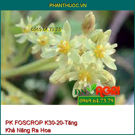 PK FOSCROP K 30-20 - Chặn Đọt, Tăng Khả Năng Ra Hoa, Tăng Thụ Phấn, Đậu Trái Non