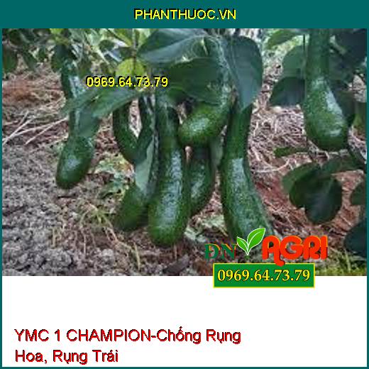 YMC 1 CHAMPION - Cung Cấp Vi Lượng Chelate Chống Rụng Hoa, Rụng Trái