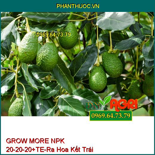 GROW MORE NPK 20-20-20+TE-Giúp Phân Hóa Mầm Hoa, Ra Hoa Kết Trái