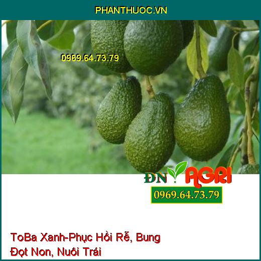 ToBa Xanh - Phục Hồi Rễ, Bung Đọt Non, Nuôi Trái, Chống Rụng, Tăng Đậu Quả