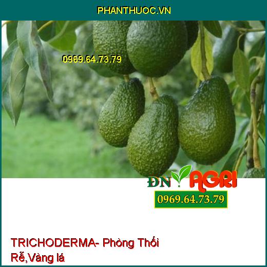 TRICHODERMA- Phòng Thối Rễ, Bật Chồi, Vàng lá, Chống Chết Cây