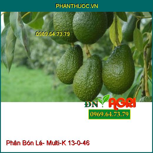 Phân Bón Lá Cao Cấp Multi-K 13-0-46 Được Nhập Khẩu Từ Tập Đoàn Haifa Israel