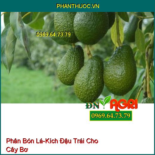 PHÂN BÓN LÁ KÍCH THÍCH RA HOA, ĐẬU TRÁI TỔNG HỢP