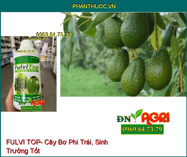 FULVI TOP- Ra Đọt, Vọt Hoa, Kích Rễ, Phì Trái, Xanh Lá Trên Cây Trồng