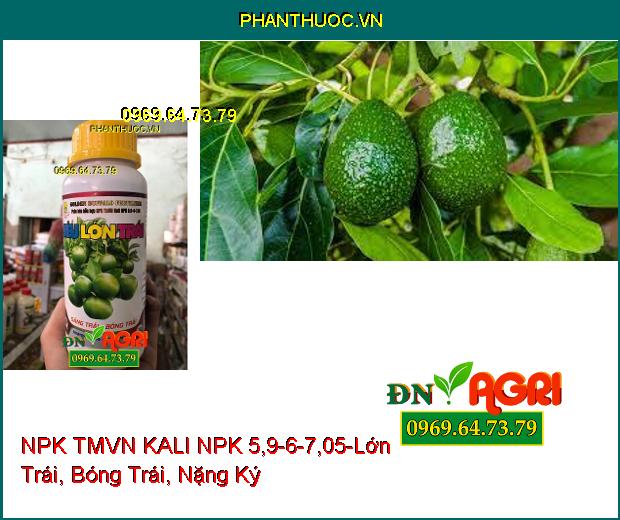 PHÂN BÓN HỖN HỢP NPK TMVN KALI NPK 5,9-6-7,05-Trái Lớn, Giảm Nứt Trái, Da Lu