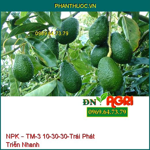 PHÂN BÓN NPK – TM-3 10-30-30-Trái Phát Triễn Nhanh, Tăng Độ Ngọt, Nhiều Nước