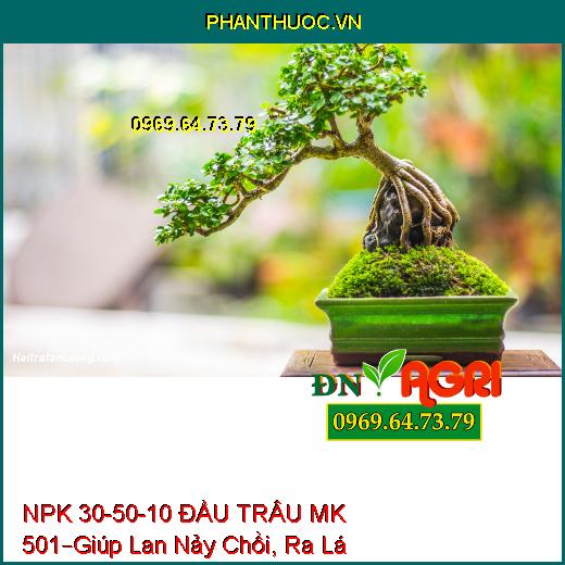 PHÂN BÓN LÁ CAO CẤP NPK 30-50-10 ĐẦU TRÂU MK 501 –Giúp Lan Nảy Chồi, Ra Lá