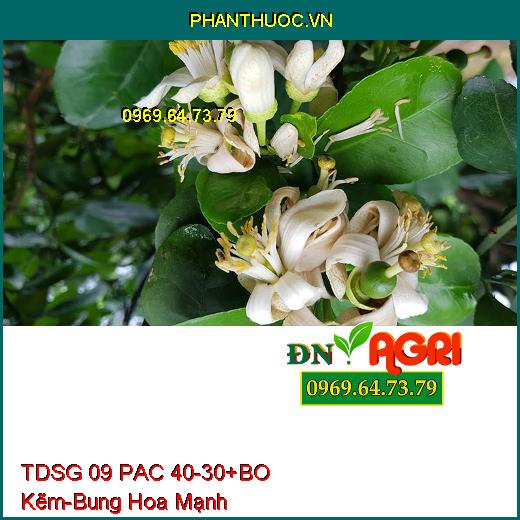 TDSG 09 PAC 40-30+BO Kẽm- Bung Hoa Mạnh, Kích Ra Hoa Đồng Loạt, Đậu Trái Cao