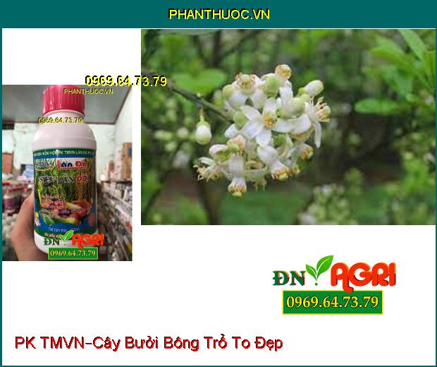 PHÂN BÓN HỖN HỢP PK TMVN –Bông Trổ To Đẹp, Chắc Hạt, Phòng Bệnh Đốm Vàng