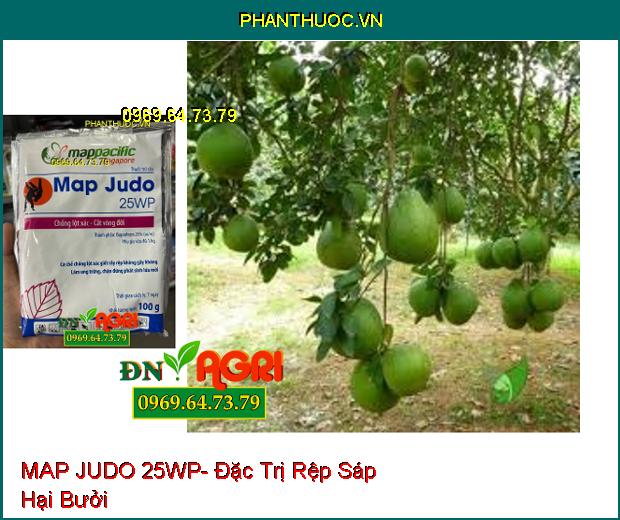 THUỐC TRỪ SÂU MAP JUDO 25WP- Trị Rệp Sáp, Rầy Nâu