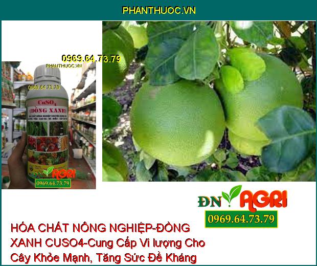 HÓA CHẤT NÔNG NGHIỆP – ĐỒNG XANH CUSO4-Cung Cấp Vi Lượng, Phòng Ngừa Bệnh Nấm