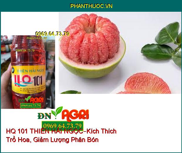 HQ 101 THIÊN HẢI NGỌC –Kích Thích Trổ Hoa , Giảm Lượng Phân Bón