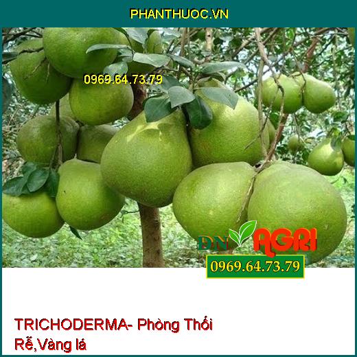 TRICHODERMA- Phòng Thối Rễ, Bật Chồi, Vàng lá, Chống Chết Cây