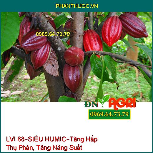 PHÂN BÓN VI LƯỢNG LVI 68 – SIÊU HUMIC –Tăng Hấp Thụ Phân, Tăng Năng Suất