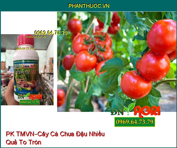 PHÂN BÓN HỖN HỢP PK TMVN –Bông Trổ To Đẹp, Chắc Hạt, Phòng Bệnh Đốm Vàng