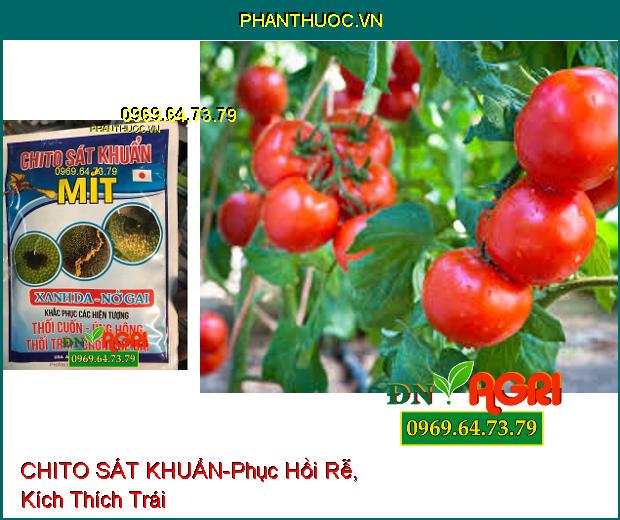 PHÂN BÓN VI LUỢNG CHITO SÁT KHUẨN-Phục Hồi Rễ, Kích Thích Trái