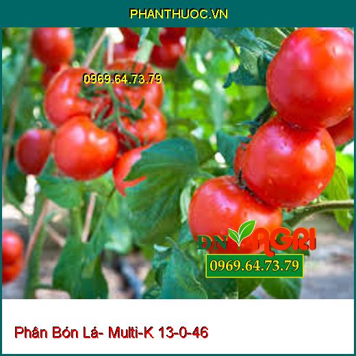 Phân Bón Lá Cao Cấp Multi-K 13-0-46 Được Nhập Khẩu Từ Tập Đoàn Haifa Israel