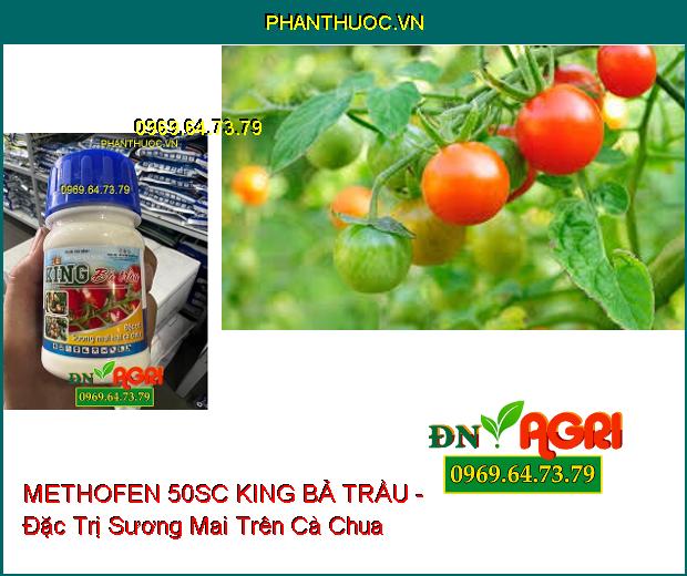 METHOFEN 50SC KING BẢ TRẦU - Đặc Trị Sương Mai , Bệnh Bạc Lá Trên Cà Chua