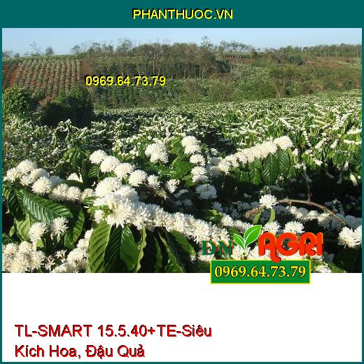 TL-SMART 15.5.40+te - Siêu Kích Hoa, Đậu Quả Đồng Loạt