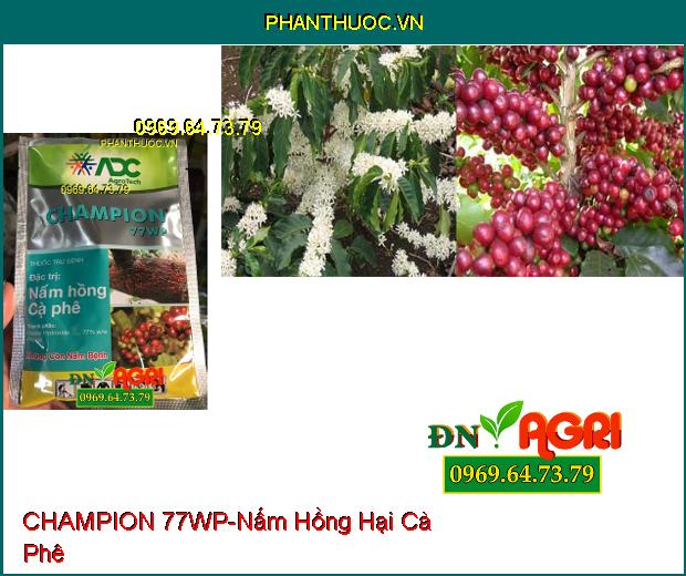 THUỐC TRỪ BỆNH CHAMPION 77WP – Phòng Trừ Các Loại Nấm, Vi Khuẩn Hại Cây