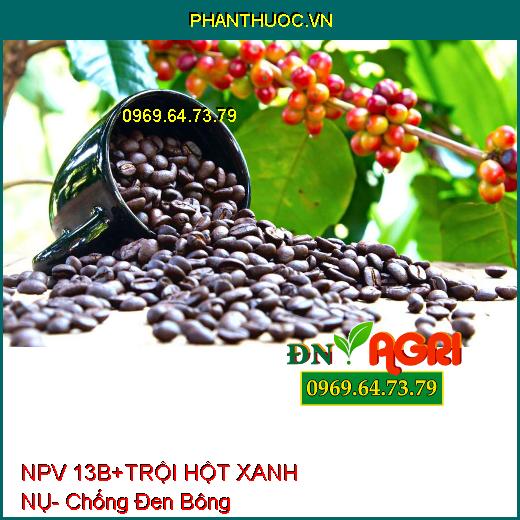 NPV 13B+ TRỘI HỘT XANH NỤ- Chống Đen Bông, Tạo Nhiều Hoa,Dưỡng Trái Non