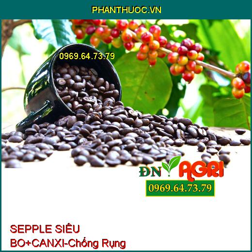 SEPPLE SIÊU BO+CANXI - Chống Rụng Bông, Rụng Trái, Tạo Nhiều Múi