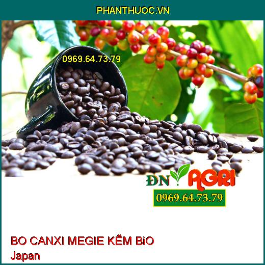 BO CANXI MEGIE KẼM BiO JaPan- Khắc Phục Cây Thiếu Kẽm, Bo, Đồng, Magie, Canxi