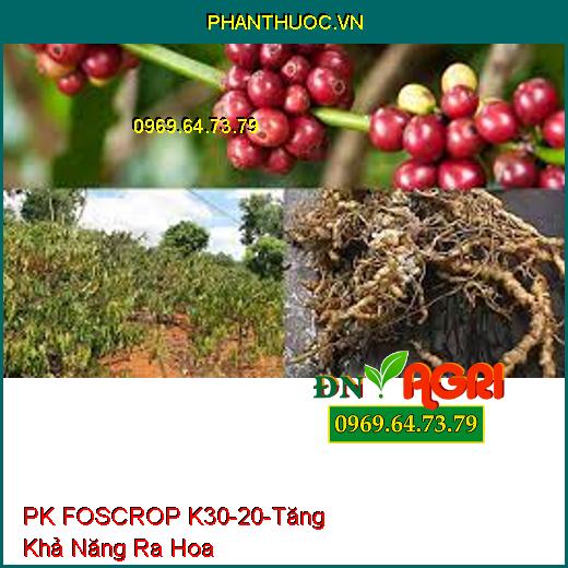 PK FOSCROP K 30-20 - Chặn Đọt, Tăng Khả Năng Ra Hoa, Tăng Thụ Phấn, Đậu Trái Non