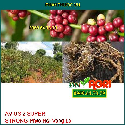 AV US 2 SUPER STRONG - Phục Hồi Vàng Lá, Kích Ra Hoa, Lớn Trái, Đẻ Nhánh