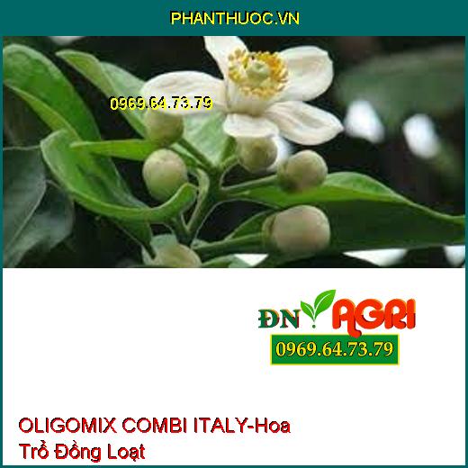 OLIGOMIX COMBI ITALY- Hoa Trổ Đồng Loạt, Tăng Đậu Trái, Chống Vàng Lá