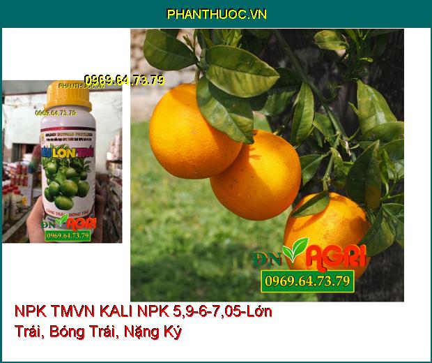 PHÂN BÓN HỖN HỢP NPK TMVN KALI NPK 5,9-6-7,05-Trái Lớn, Giảm Nứt Trái, Da Lu