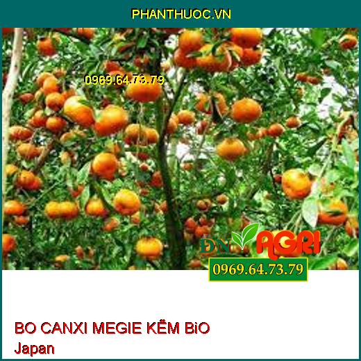 BO CANXI MEGIE KẼM BiO JaPan- Khắc Phục Cây Thiếu Kẽm, Bo, Đồng, Magie, Canxi