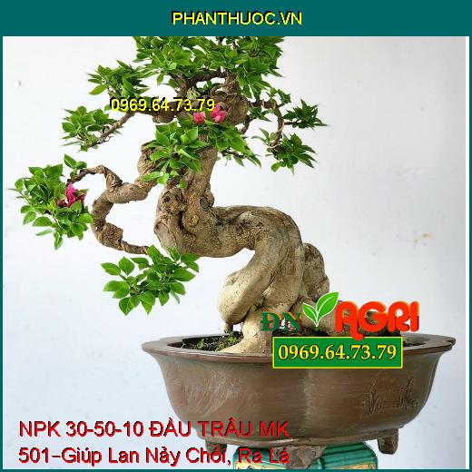 PHÂN BÓN LÁ CAO CẤP NPK 30-50-10 ĐẦU TRÂU MK 501 –Giúp Lan Nảy Chồi, Ra Lá