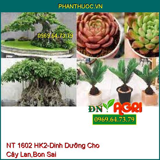 NT 1602 HK2- Cung Cấp Dinh Dưỡng Cho Cây Phong Lan, Bon Sai