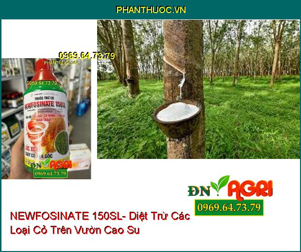 THUỐC TRỪ CỎ NEWFOSINATE 150SL- Trừ Cỏ Tận Gốc, Đặc Trị Cỏ Gấu, Cỏ Vừng, Thài Lài, Mần Trầu