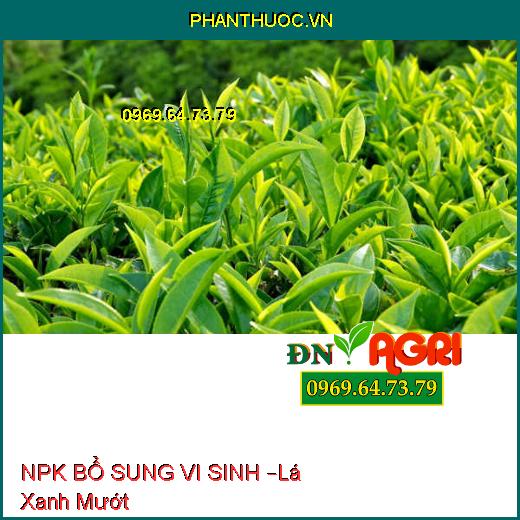 PHÂN BÓN NPK BỔ SUNG VI SINH –Lá Xanh Mướt, Bung Chồi Cực Mạnh, Tăng Năng Suất