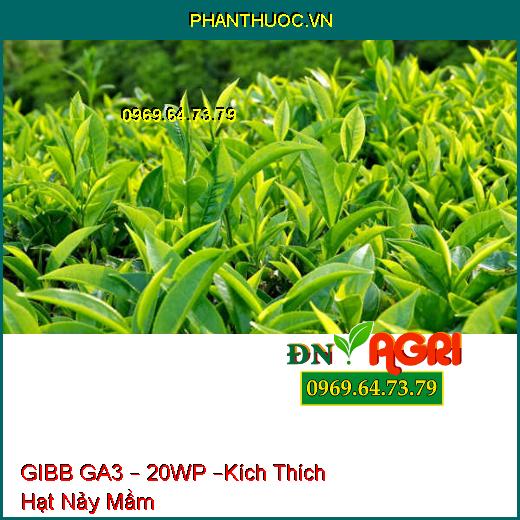 PHÂN BÓN PHỨC HỢP GIBB GA3 – 20WP –Kích Thích Hạt Nảy Mầm Nhanh