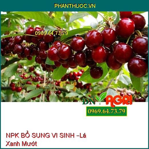 PHÂN BÓN NPK BỔ SUNG VI SINH –Lá Xanh Mướt, Bung Chồi Cực Mạnh, Tăng Năng Suất