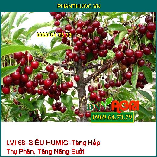 PHÂN BÓN VI LƯỢNG LVI 68 – SIÊU HUMIC –Tăng Hấp Thụ Phân, Tăng Năng Suất