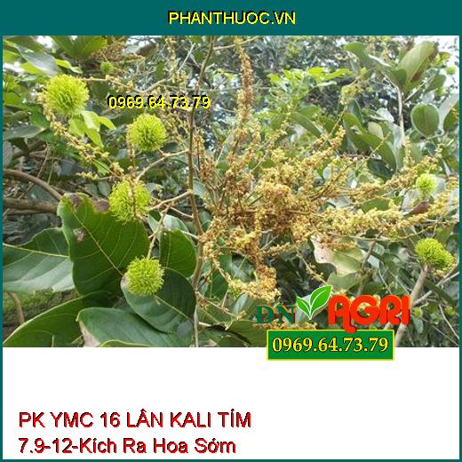 PK YMC 16 LÂN KALI TÍM 7.9-12 - Kích Thích Ra Hoa Sớm, Ra Hoa Đồng Loạt