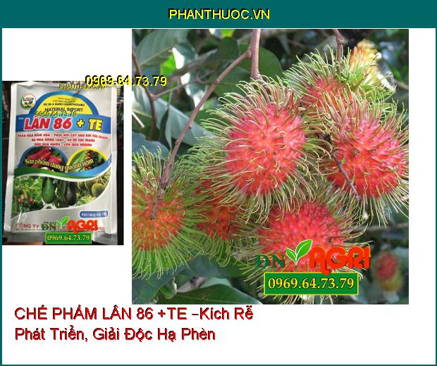 PHÂN BÓN HỖN HỢP CHẾ PHẨM LÂN 86 +TE –Kích Rễ Phát Triển, Giải Độc Hạ Phèn, Tạo Mầm Hoa