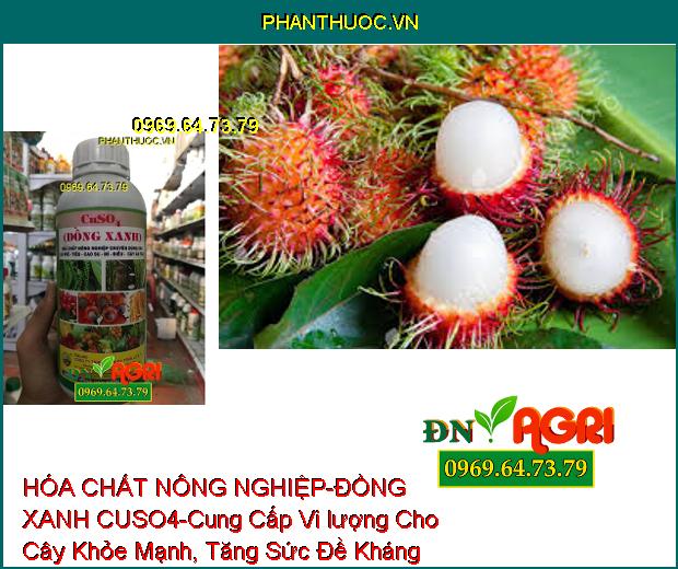 HÓA CHẤT NÔNG NGHIỆP – ĐỒNG XANH CUSO4-Cung Cấp Vi Lượng, Phòng Ngừa Bệnh Nấm